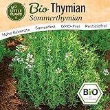 Little Plants BIO Thymian Samen 1000 Sommerthymian Kräutersamen Samenfest für...