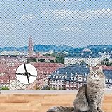Katzennetz für Balkon ohne Bohren,Katzennetz Drahtverstärkt,Vogelschutznetz...