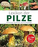 Lexikon der Pilze: Bestimmung, Verwendung, typische Doppelgänger: Über 210...