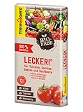 Floragard Bio-Erde Lecker 40 Liter - Gemüseerde für Hochbeete, Tomaten, Chili,...