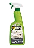 COMPO Ameisen- und Insektenspray, 500 ml, Pfefferminzöl Basis für dezenten...