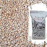 Karner Bio Weizen 25kg | für Geflügel, Wildvögel, Nagetiere | aus Neuer Ernte...