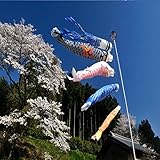 Bluelover 1 Set 5 Stück Japanische Flagge Carp Carp Banner Windsock Sailfish...