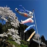 Bluelover 1 Set mit 5 japanischen Flaggen, Karpfen-Flagge, Windsock Sailfish...