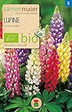 BIO Lupine Samen - Mehrjährige Mischung, Insektenfreundlich, 110-120 cm hoch,...