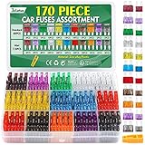 170Pcs Auto Sicherungen Set, Bolatus 60 Standard Kfz Sicherungen + 110 Mini...