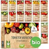 BIO Tomaten Samen Set - 14 Sorten Tomatensamen aus biologischem Anbau,...