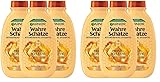 Garnier Wahre Schätze Reparierendes Shampoo Honig Schätze, kräftigt und...