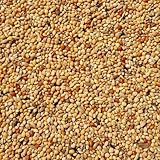 Supravit Exotenfutter 5kg - hochwertiges Mischfutter für exotische Finken -...