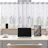 Daliena Scheibengardine mit Lochleiste Gardine Store Jacquard Küchengardine...