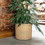 DARO DEKO Seegras Korb rund Natur Ø 19 x 17 mit Einsatz Blumentopf geflochten...