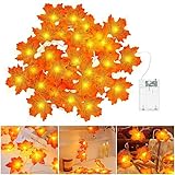 cshare Herbst Lichterkette Batterie, 3M 20LED Halloween Deko Herbst Ahornblatt...