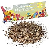 Sommer Blumenwiese Samen: 100g Premium Sommerblumen Samen für bunte Blumenwiese...