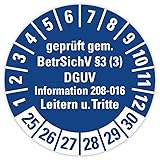 25 Stück – Prüfplakette Aufkleber „Leitern/Tritte, BetrSichV §3 DGUV |...