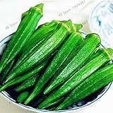 Okra Samen, Bio-Non GMO Okra Gemüsesamen für Haus und Garten Topfpflanzen,...
