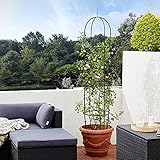 Gardebruk Rosensäule Rosenbogen Rankgitter Obelisk Rankhilfe 200 x 40cm...
