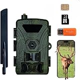 ZYJDGNNY Secacam 4G 4K 60MP Wildkamera mit Handyübertragung, Bewegungsmelder,...